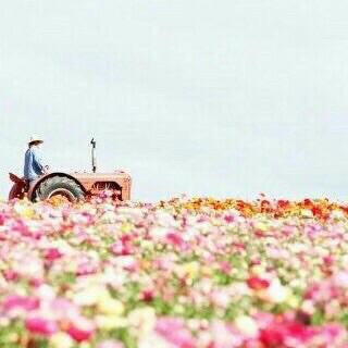 عــمـاد مـن صـبـيـاء (@ebrahemabdo245) on Twitter photo 