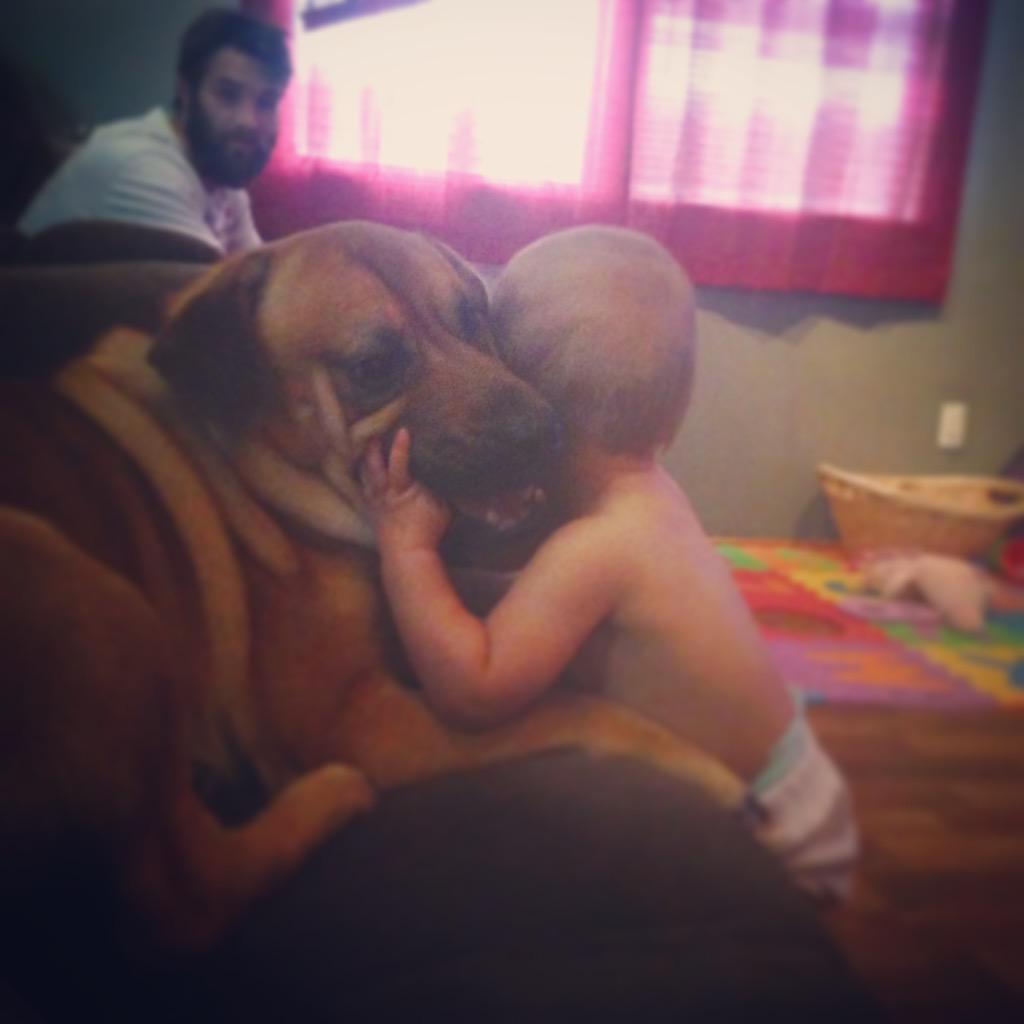 chelseykeller's tweet photo. I love my little family! #stetsonfamily #myrtlemanor #bellamy&amp;Goliath #ilovehisbeardsoshhhhhlol http://t.co/M8nkbNM8t8