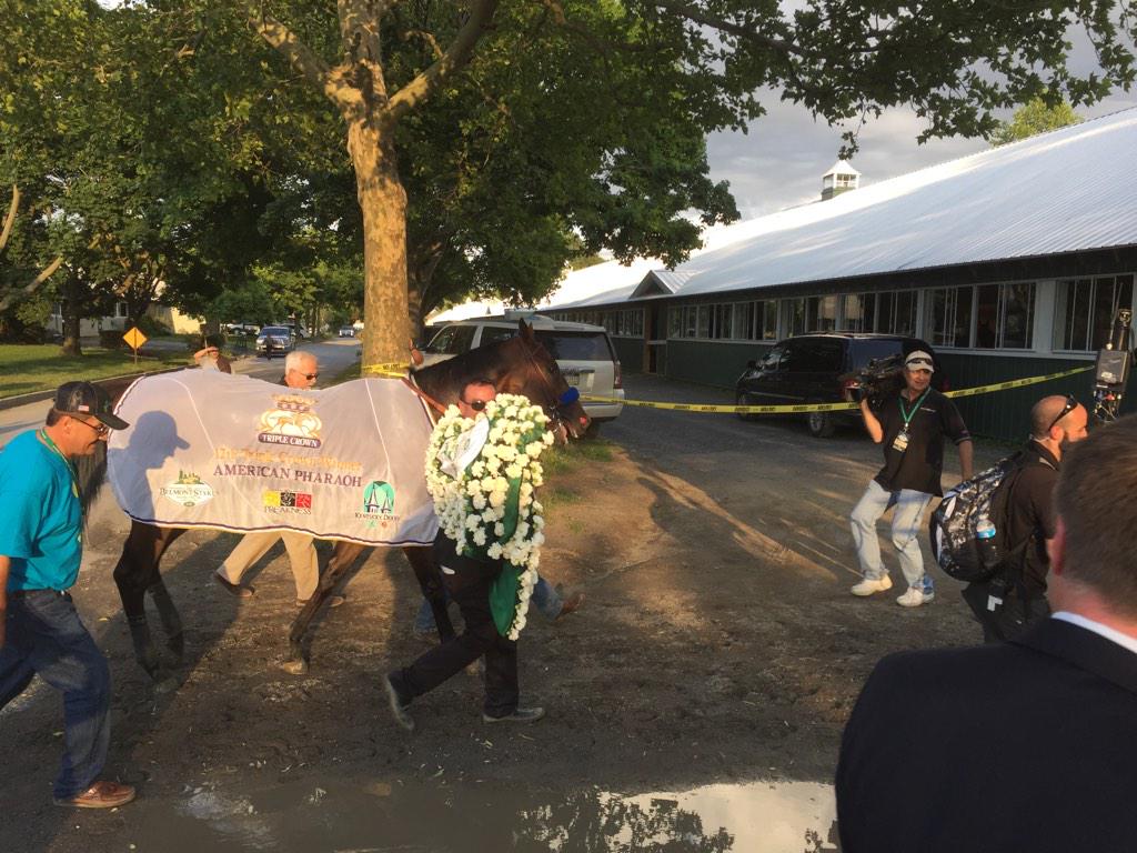 WinStarCEO's tweet photo. @WinStarFarm @theTDN @BloodHorse  what a blessing to be at Belmont today!  AP was awesome POTN IS A PROUD PAPA! http://t.co/QmguPzO6eP