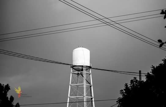 studcentenario's tweet image. 