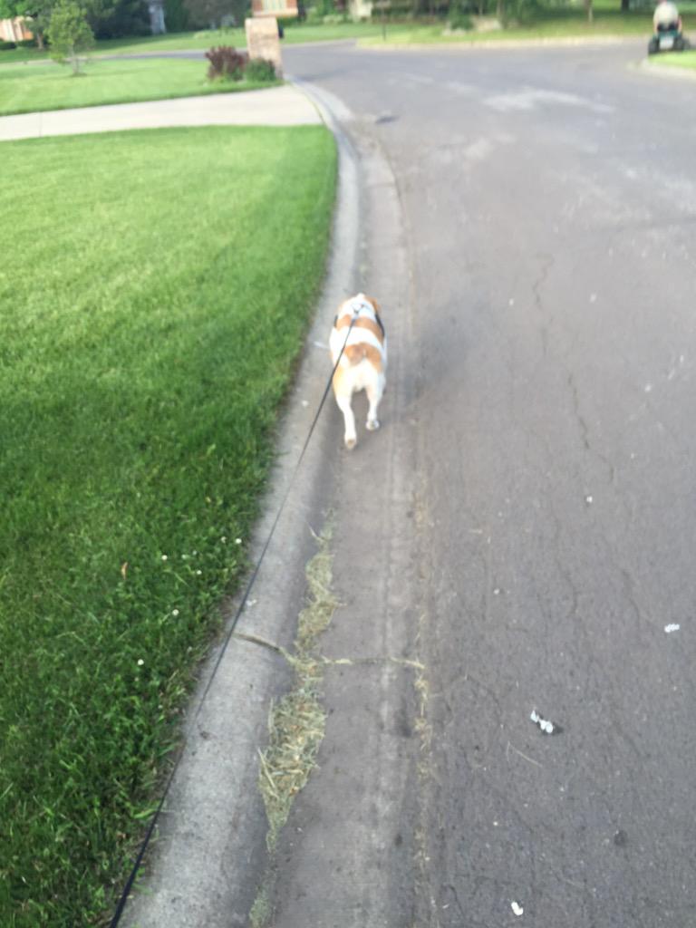 jonesjoc32's tweet photo. Walkin round the block wit my woe! #youknowhowthatshouldgo http://t.co/X3iy7q00ie