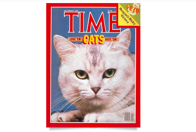 mental_floss's tweet image. When 'Time' Predicted Cats Were the Hot New Thing — bit.ly/1EiJL1N