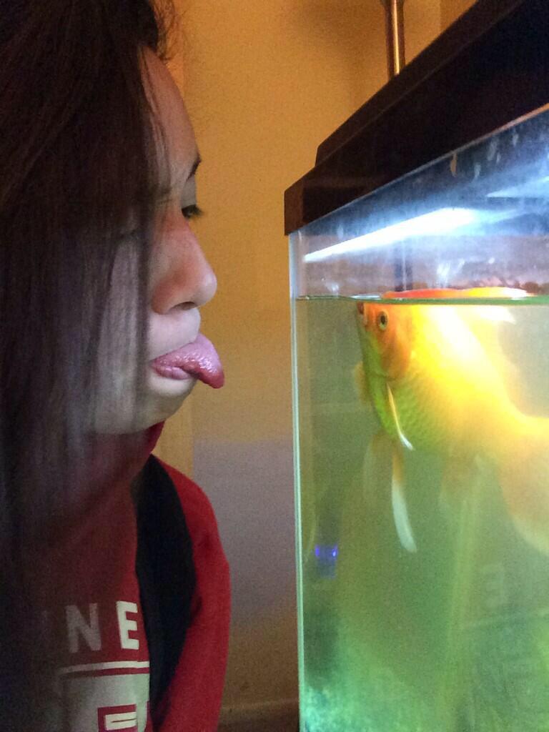 Ari_Safari13's tweet photo. Randomly started missing my fish , you were a real homie #RIPSquidward http://t.co/PcSJ5pkXH6