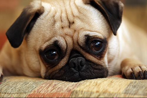 TeacherJust's tweet photo. When in reading all these summer vacation tweets and I have two weeks of school left. http://t.co/XNtKVKmEiJ