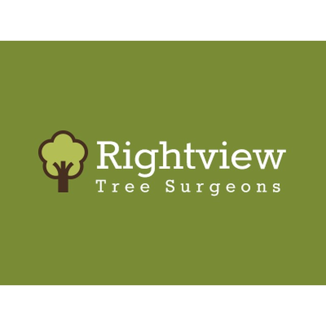 RightviewTreeSu's tweet image. 