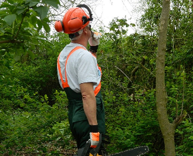 RightviewTreeSu's tweet image. 