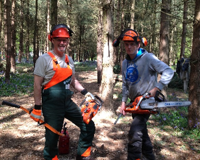 RightviewTreeSu's tweet image. 