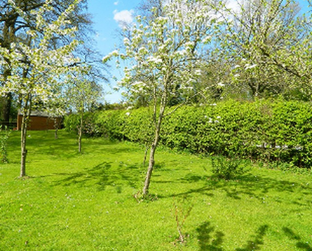 RightviewTreeSu's tweet image. 