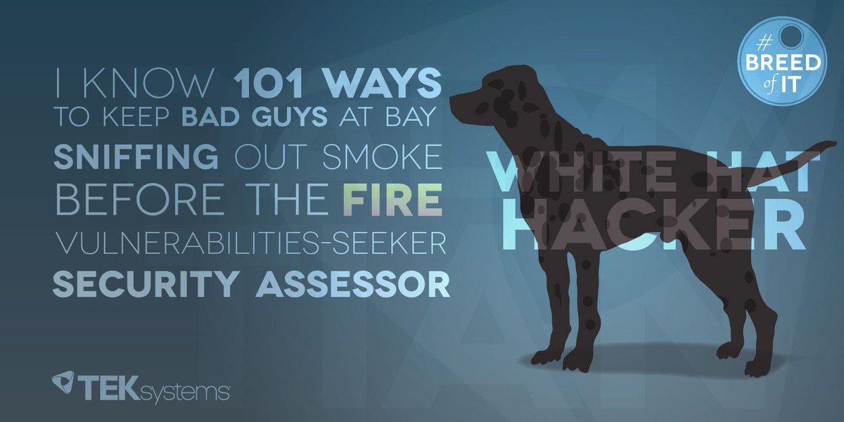 RT <a href="/TEKsystems/">TEKsystems</a> Do you know what a #WhiteHatHacker does? Learn about this#BreedofIT. - sot.ag/3XXtg