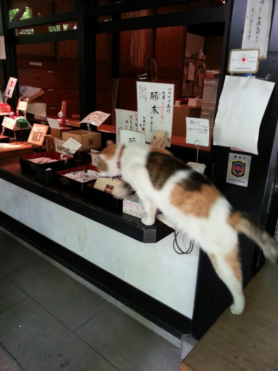 愛宕神社 お守りとおみくじで運気が急上昇 東京都港区 幸せになる