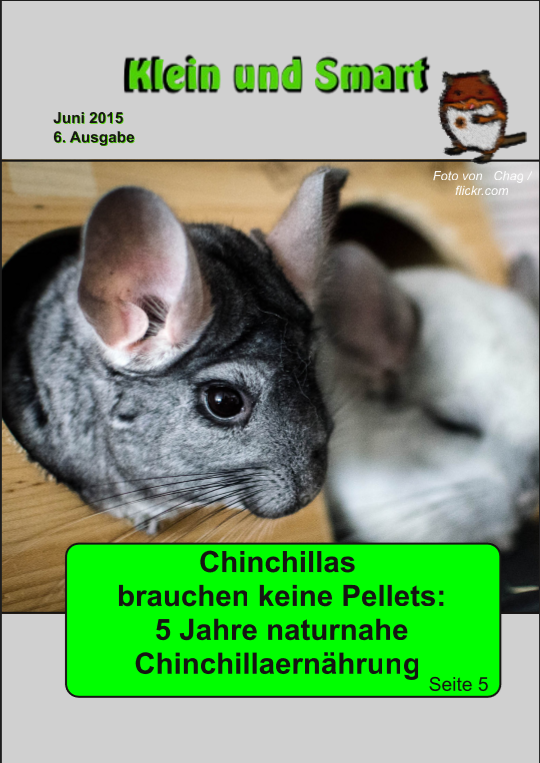 #NeueAusgabe #Gewinnspiel #Kaninhop Top-Thema: pelletfreie #Chinchilla-ernährung
issuu.com/kleinundsmart/…