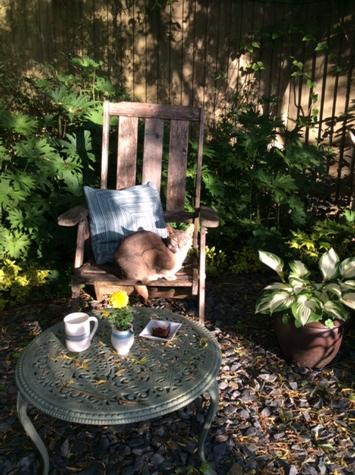 JewelsPorcelain's tweet photo. Rosie cat Last day #NGS @JewelsPorcelain exhibition featuring @SellyPerkinsIllustration, @DragonswoodForge http://t.co/1iJyFQndDv