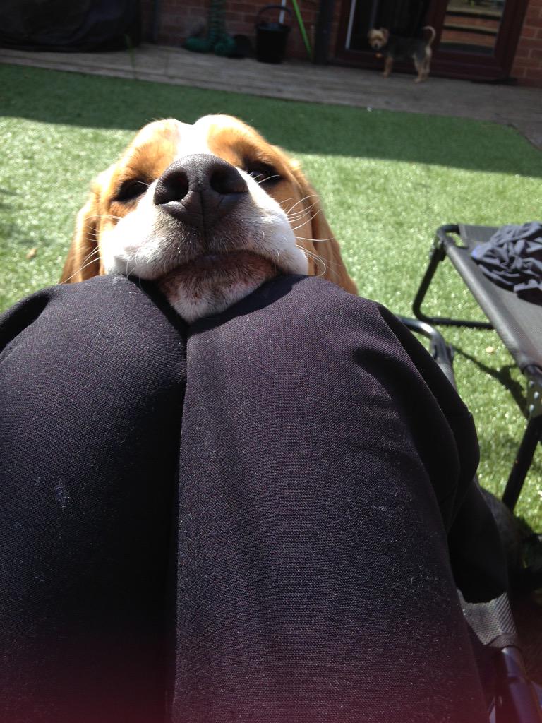 My cute face for mummy! 🐶🐶🐶