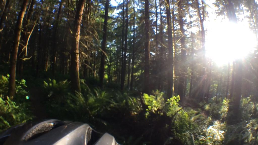 rallycar114's tweet image. A bit of Mtn Biking this beautiful evening! @hitcase #vidometer to capture the trail.