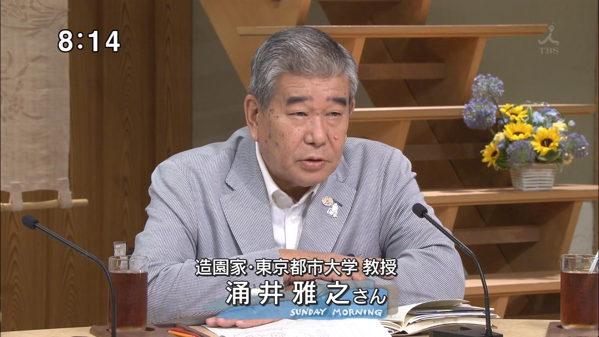 スピークjod 何言ってんだ この植木屋 Babi Sano 涌井 安倍政権の解釈改憲は非常に姑息で国民を馬鹿にしているとしか思えない そう 俺にはメディアで 国民が選んだ安倍政権 を執拗に叩いてる人たち Tbs サンデーモーニング Http T Co