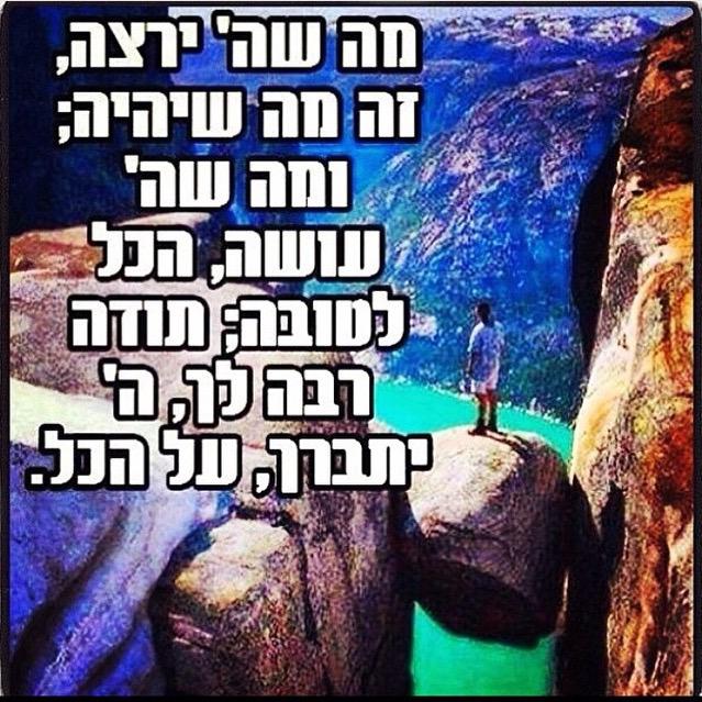 מאיר תורג׳מן tweet media