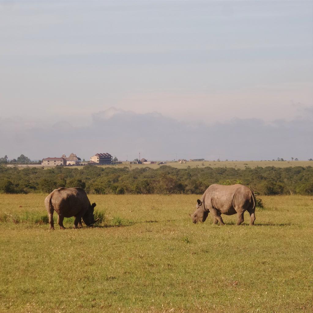 Safari254's tweet photo. .@OlPejeta is beautiful #TechMeetsWild http://t.co/wBtNXFFK1m
