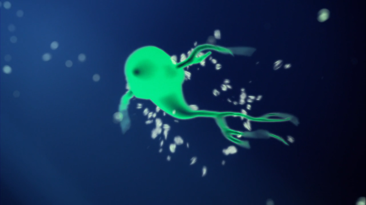 alaine_lemavia's tweet photo. The CG dolphins got replaced by some kind of sperm creature.. I think that's a trophozoite or sumthin'.. #fate22 http://t.co/UedCFuGSyR