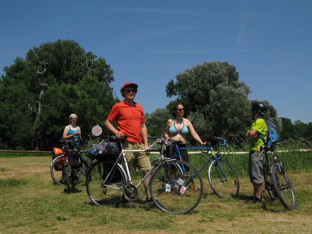 Critical Mass BA tweet media