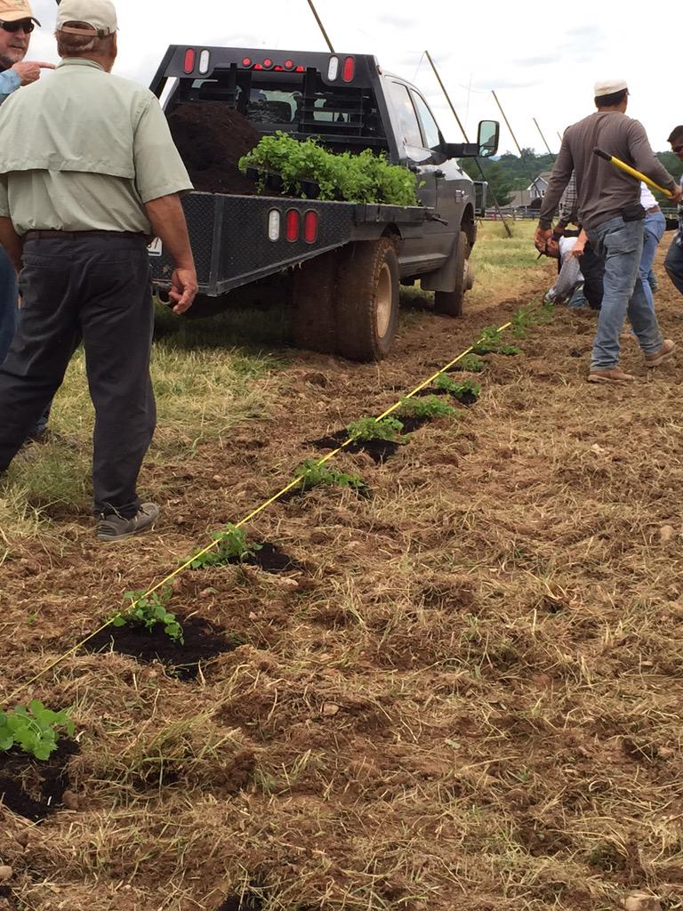 Organarchy Hops tweet media