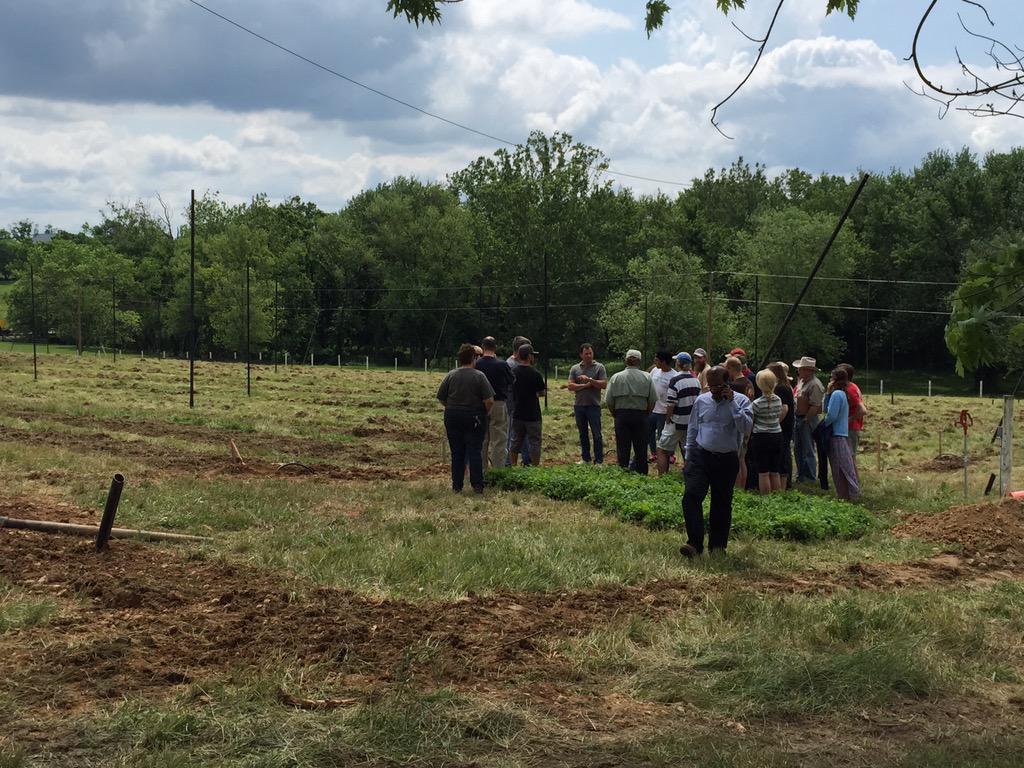 Organarchy Hops tweet media