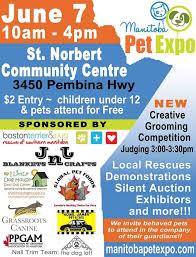 CKPetDesigns's tweet image. You just might find a new friend (or a fab new collar) #Getyourblingon #adopt #winnipeg #dogs #cats