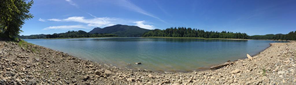 Morglet's tweet image. 