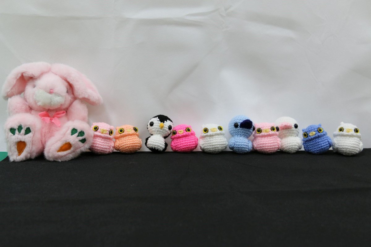 TheBear_Team's tweet photo. I welcomed our new birds :D http://t.co/FEn6RCdrk5