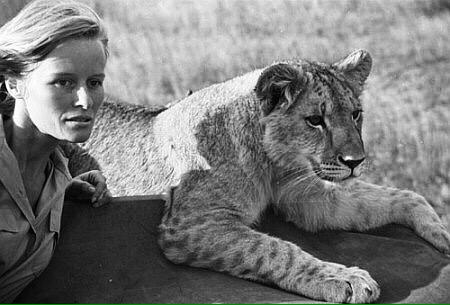 Happy birthday to the wonderful and inspirational Virginia McKenna 