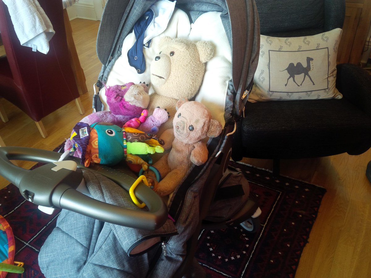 maxbaylav's tweet photo. Off dogging for the afternoon #toysareinthepram http://t.co/R225Qp8EGf