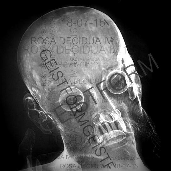 The Model Traitor presents........ROSA DECIDUA IV.....18/07/15....coming soon.