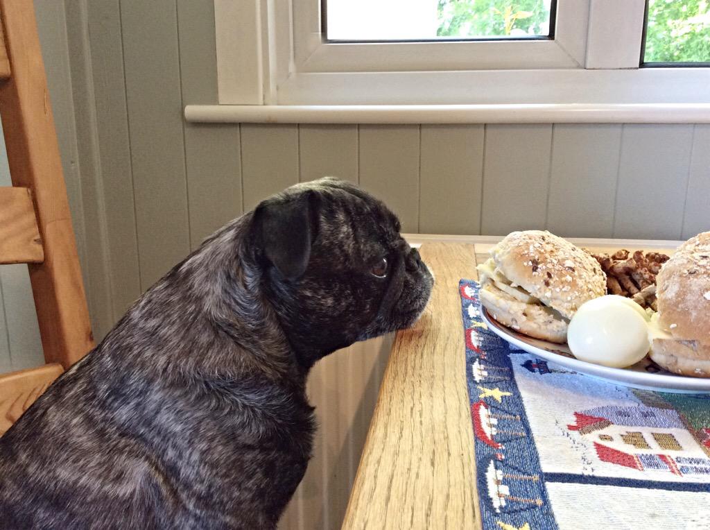 Mum's called Dad in from the garden for his lunch twice already, he'd better get a move on. If ya snooze ya lose!