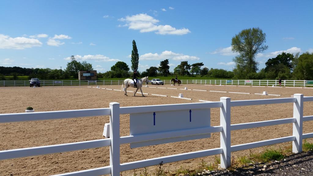 Dressage is well under way... The sun is shinning and horses are happy #happyhooves # dressage