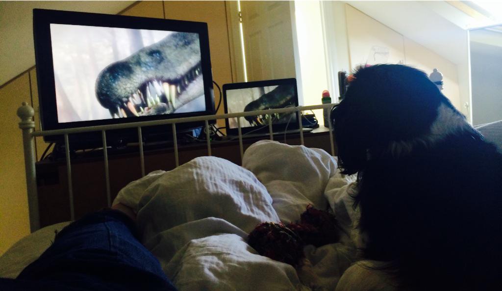 Sammie likes dinosaurs! <a href="/Scarffachu/">Alison Scarff</a>