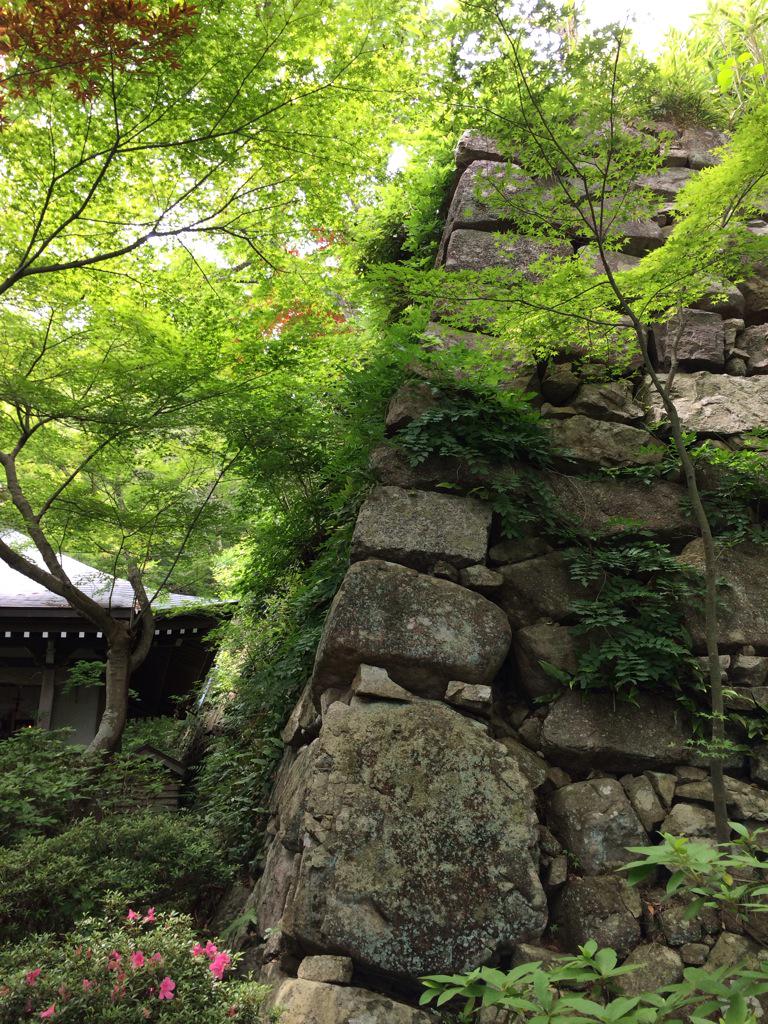 assam_h's tweet image. 八幡山城跡と八幡堀♪水郷も行きたかった♪