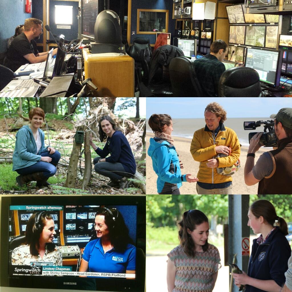 Lindsey_Chapman's tweet image. Last week on #springwatchextra in pictures...now gearing up for our 3rd and final week at Minsmere @BBCSpringwatch