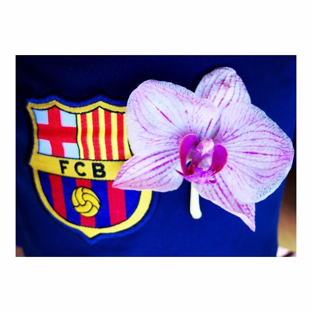 cat_testimo's tweet photo. #bcn #blaugrana #barça #barcelona #barcelovers #cataluña #catalonia #catalunya #catalunyatestimo #niceday #niceplac… http://t.co/Gft6UgtaGg