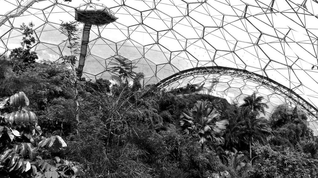 #edenphotocomp Monochrome biodome