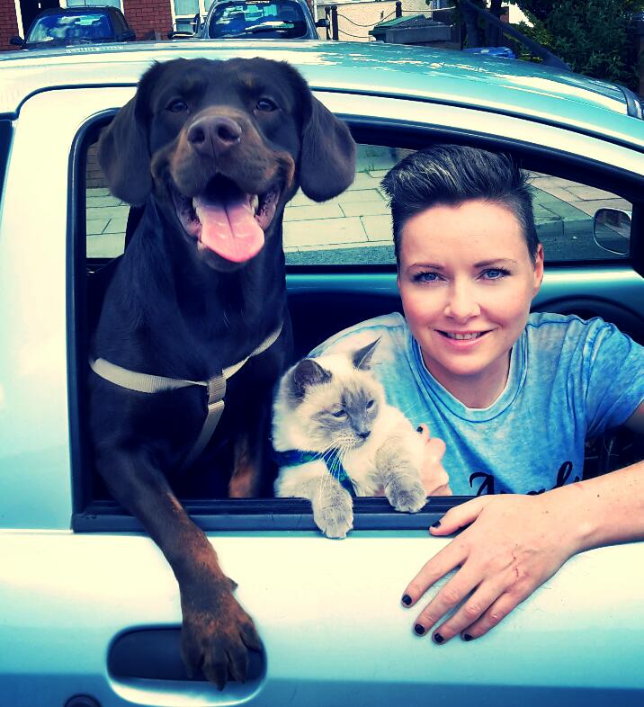 AnnieMumfie's tweet photo. Family day out with the wife & kids.. cat in tow #petbuggy #lesbianbehaviour http://t.co/3ynP9WyVQ1