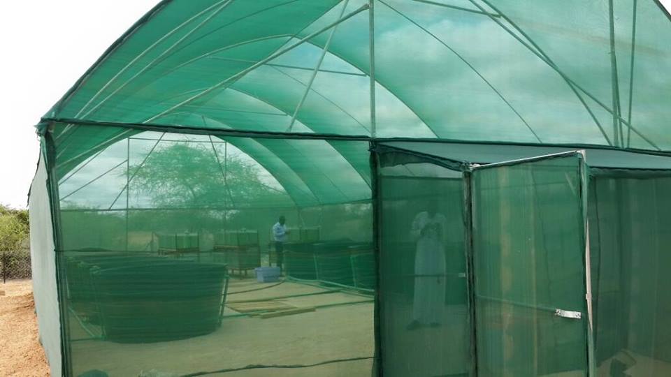 ManderaCGPress's tweet photo. Fish pond, fish hatchery and fodder plantation at Bulla Hajji Demonstration farm in Neboi, Mandera East Sub County. http://t.co/JLOGFpuEp5
