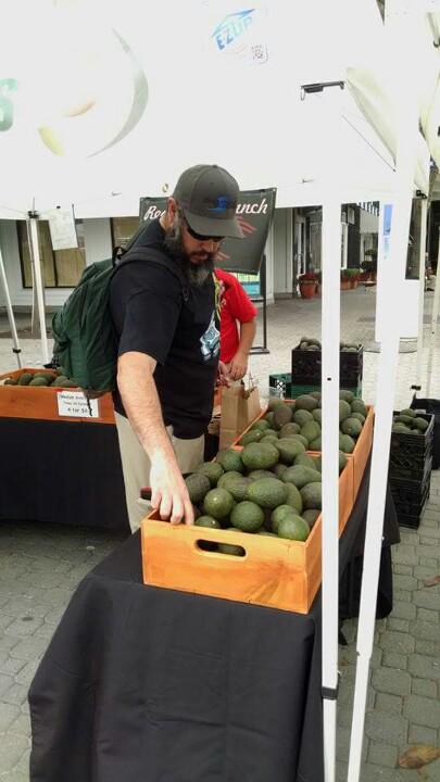 Shimmick tweet media