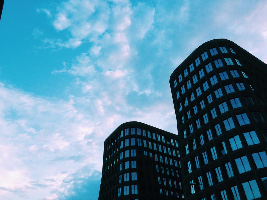 sonna's tweet image. в стенах Новодевичьего голодные птенцы испуганно кричат, а в книжном у усадьбы Трубецких продают лавандовый раф