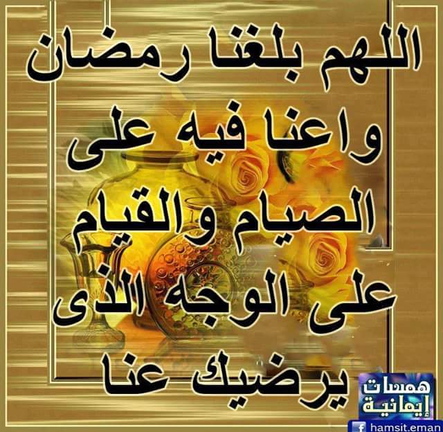ayman200288's tweet photo. http://t.co/ddQjbVkDZy