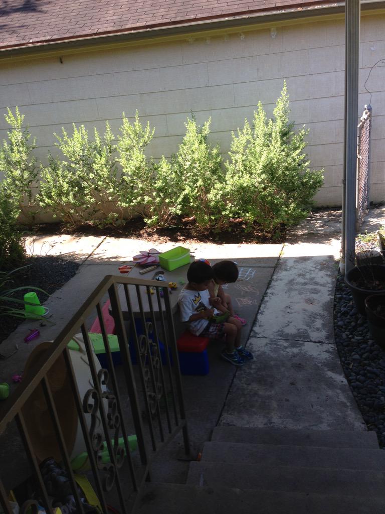 Who are these impostors and what have they done with my children? #compliance