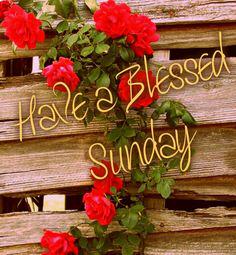 JosephMRyan1's tweet photo. Always with you Ma`am #SundayBlessings @LIGHTFALLONME @D2243 http://t.co/8FJq71nvr5