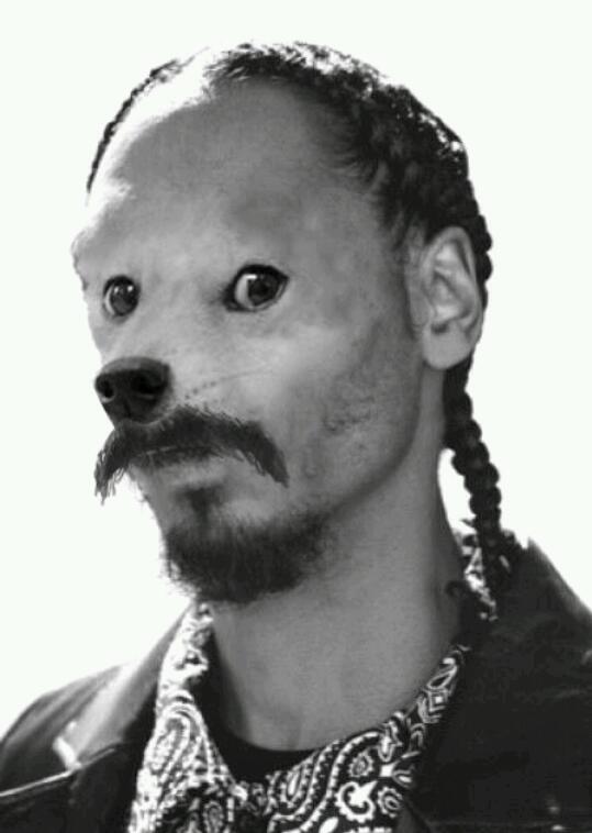 DogeTheDog's tweet image. Wow
           Such snoop
     Very doge
               Much rap