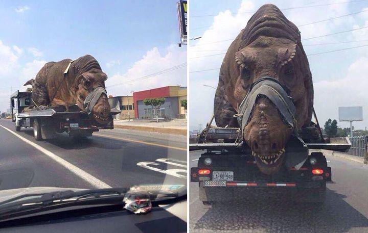 Alan Cooper tweet media