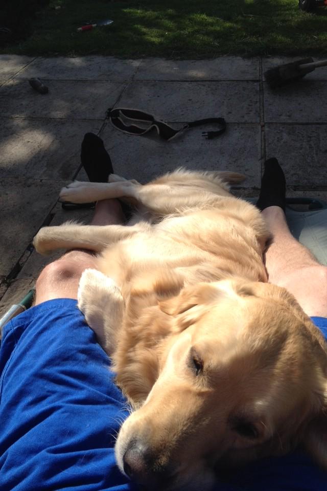 Millerparker01's tweet photo. Chilled ☀️day http://t.co/gRzCsWwuw6