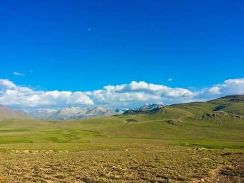 LifeLensScape's tweet photo. #Deosai #NationalPark #Skardu #GilgitBaltistan #Pakistan Accessible frm Skardu in the north &amp; the #Astore in the west http://t.co/ykpsgVroir