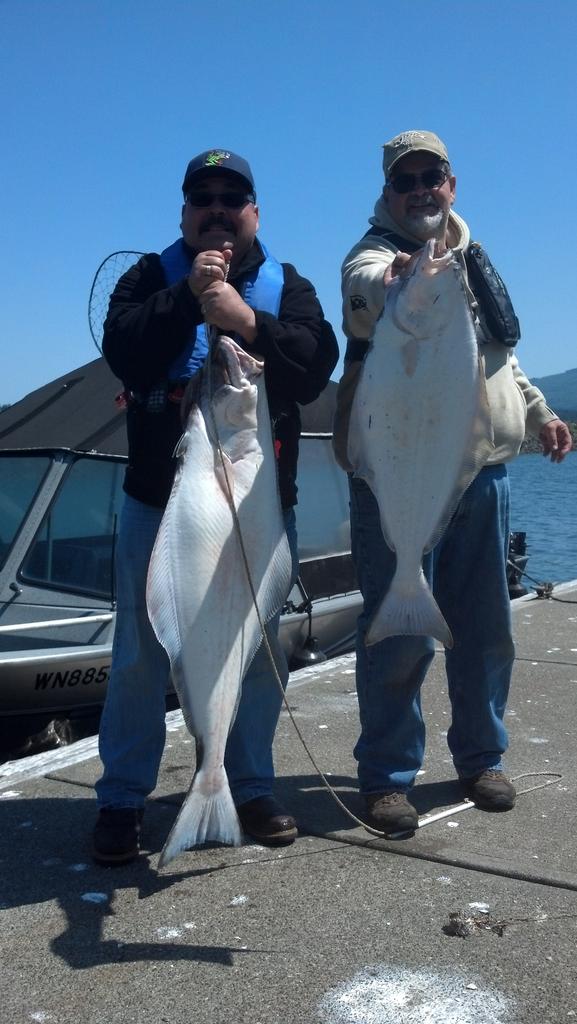 Another limit, 2015 Halibut is over, we had a great year. Time to gear upfor salmon!!!